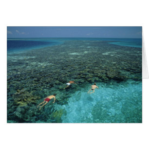 Belize, barriärrev, Lighthouse Reef, Blå Hälsningskort
