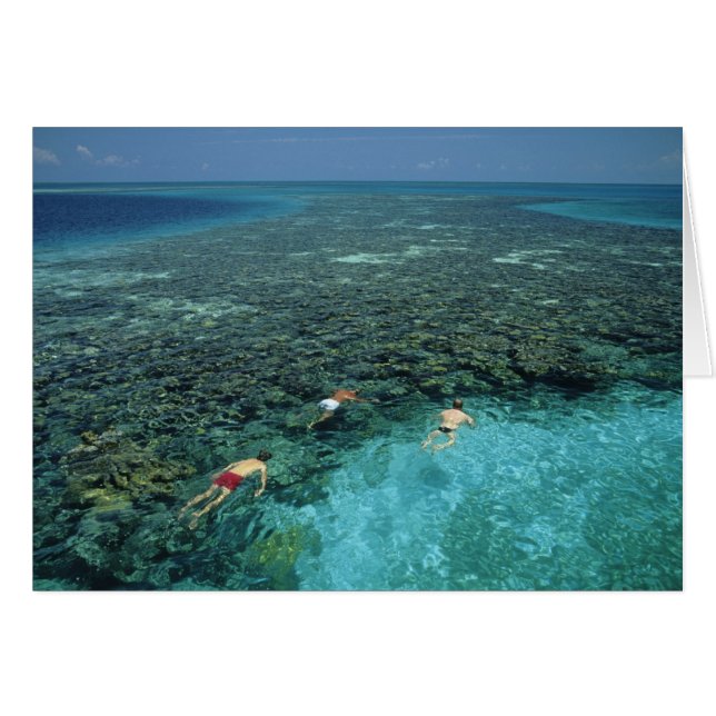 Belize, barriärrev, Lighthouse Reef, Blå Hälsningskort (Framsidan Horizontal)