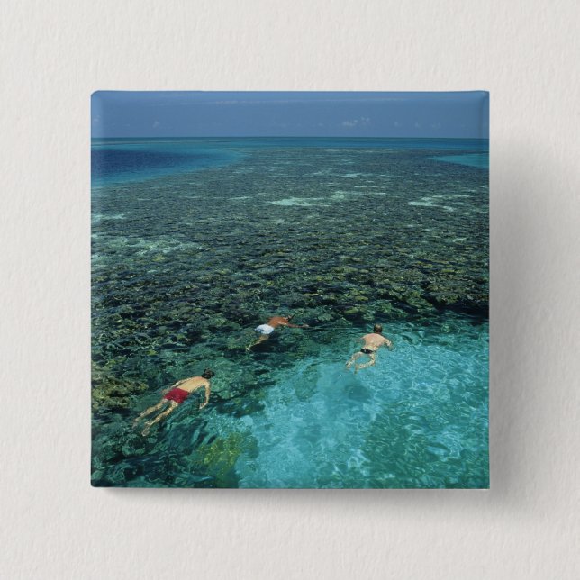 Belize, barriärrev, Lighthouse Reef, Blå Knapp (Framsida)