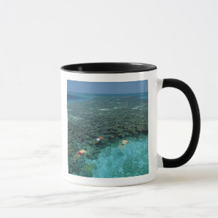 Belize, barriärrev, Lighthouse Reef, Blå Mugg