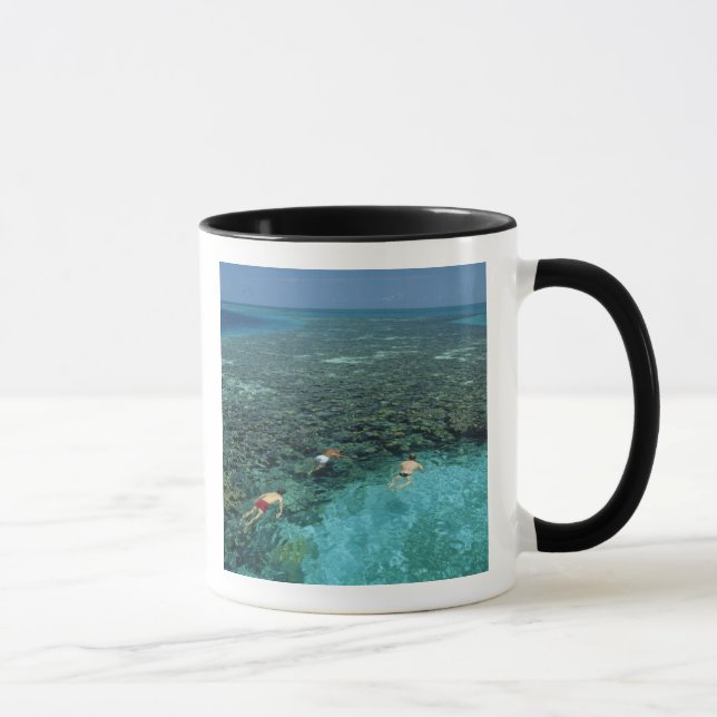 Belize, barriärrev, Lighthouse Reef, Blå Mugg (Höger)