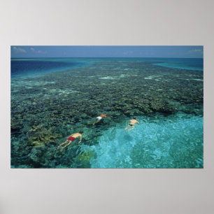 Belize, barriärrev, Lighthouse Reef, blå Poster