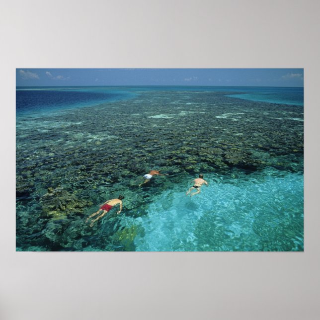 Belize, barriärrev, Lighthouse Reef, blå Poster (Framsidan)