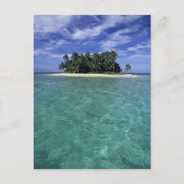 Belize, barriärrev, namnlös ö eller cay. vykort (Framsida)