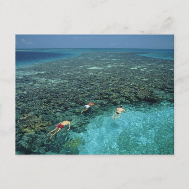 Belize, Barriärrevet, Lighthouse Reef, Blå Vykort (Framsida)
