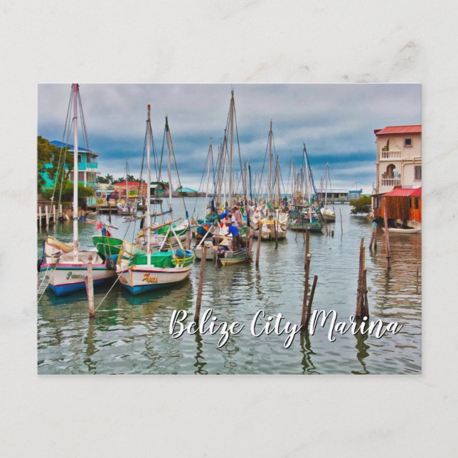 Belize City Harbour och Marina Postcard Vykort (Framsida)