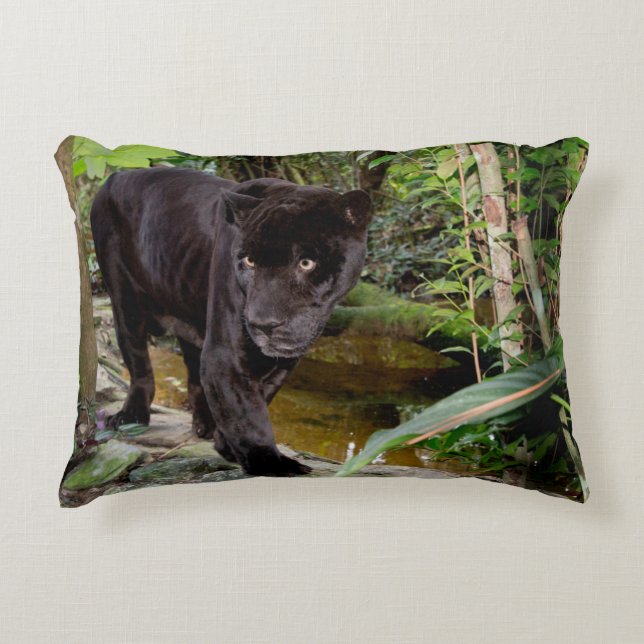 Belize City Zoo. Svart panna Prydnadskudde (Framsidan)