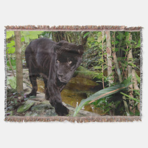 Belize City Zoo. Svart panter Filt