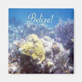 Belize! Coral Reef Magnet
