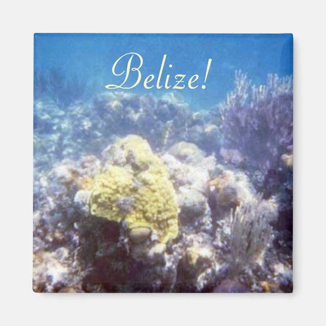 Belize! Coral Reef Magnet (Framsidan)