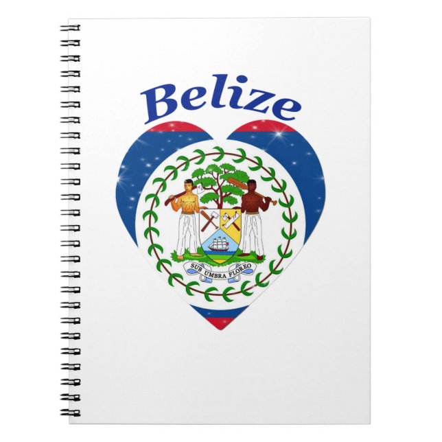 Belize Flagga Anteckningsbok (Framsidan)