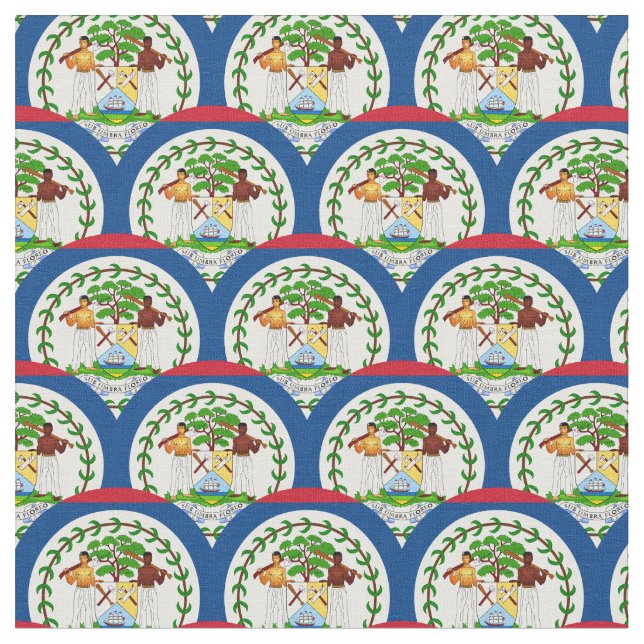 Belize Flagga & Belize Trendig Fabric/mode Tyg (Närbild)