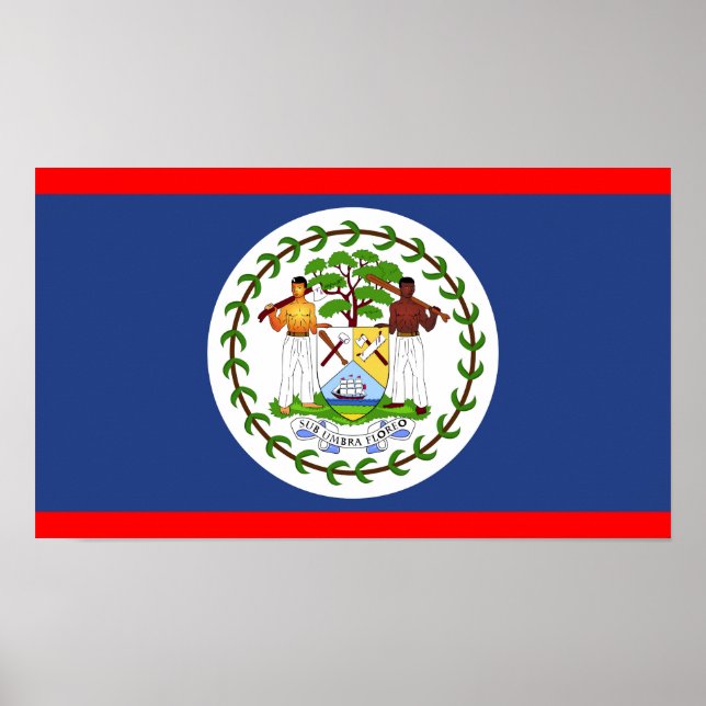 Belize flagga land symbol poster (Framsidan)
