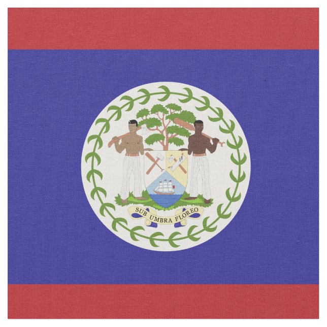 Belize flagga tyg (Närbild)