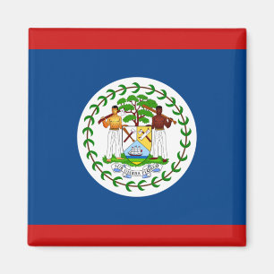 Belize flaggamagnet magnet