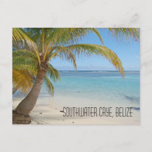 Belize Handflatan Träd och Karibiska havets landsk Vykort