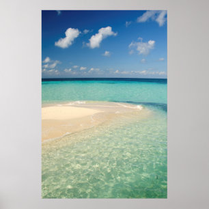 Belize, Karibiska havet. Goff Caye, A Small Island Poster