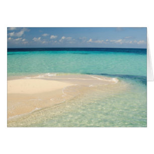Belize, Karibiska havet. Goff Caye, En liten ö Hälsningskort