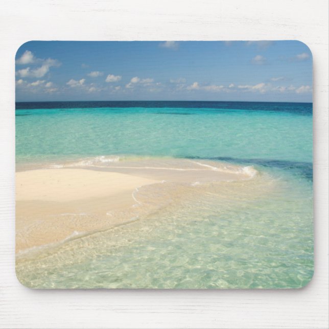 Belize, Karibiska havet. Goff Caye, en liten ö Musmatta (Framsidan)
