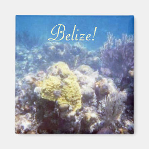 Belize! Korallrevmagnet Magnet