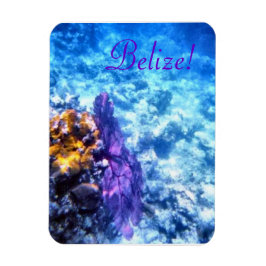Belize! Lila Sea Fläkt Premium Magnet