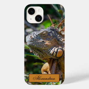 Belize Orange Iguana Lizard Photography