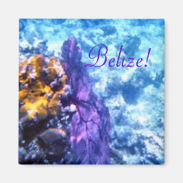 Belize Sea Fläkt Magnet
