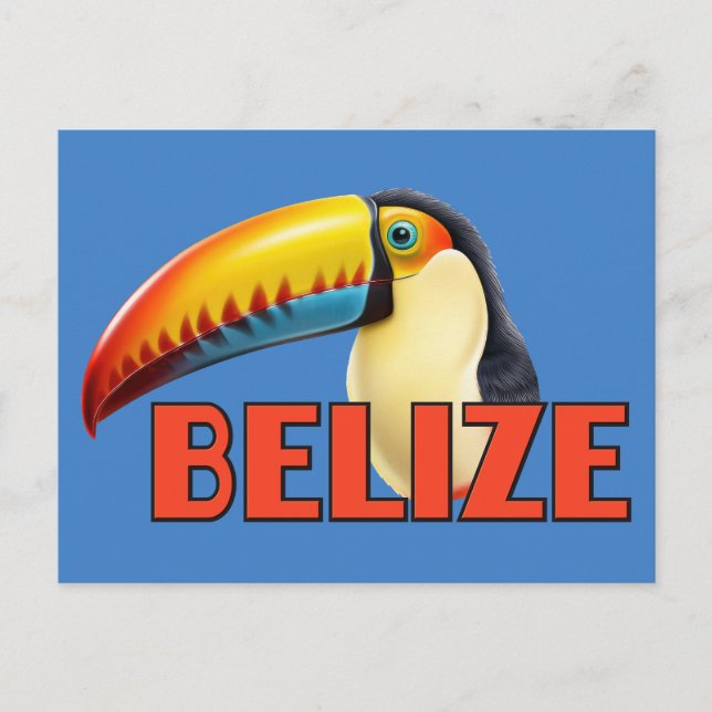 BELIZE Toucan Vykort (Framsida)