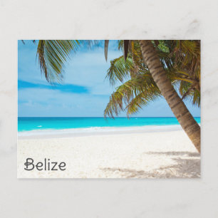 Belize Tropical Beach Handflatan Träd Ambergris Ca Vykort