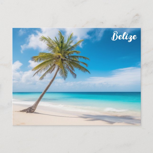 Belize Tropical Beach Handflatan Träd Ambergris Ca Vykort (Framsida)