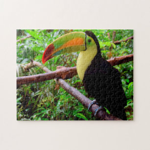 Belize Tucon Birds. Pussel