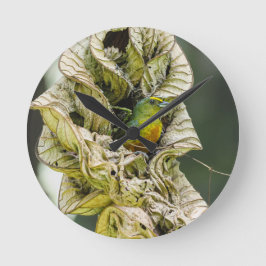 Belizean Colorful Harmony: Olive Euphonia Photo Rund Klocka