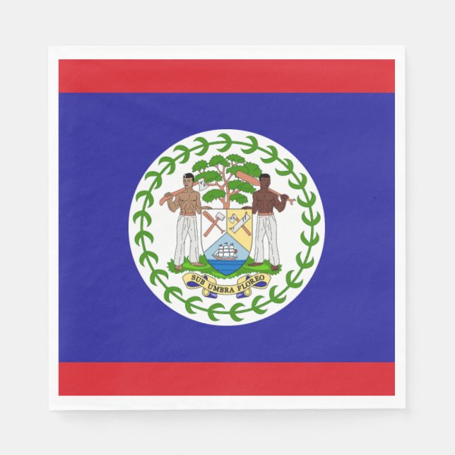 Belizean Flagga Pappersservett (Framsidan)