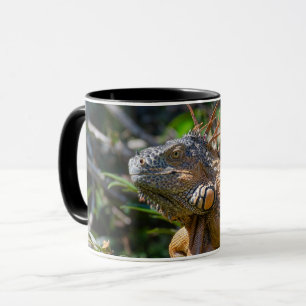Belizean Orange Iguana - Fotography Art Mugg