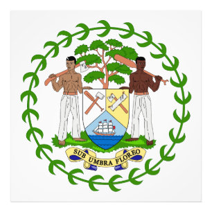 Belizes landscoat arms symbol emblem flagga fototryck
