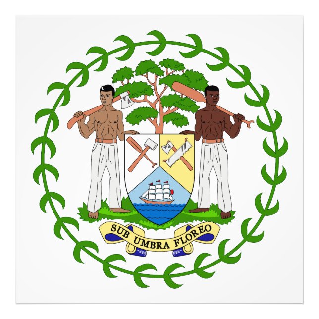 Belizes landscoat arms symbol emblem flagga fototryck (Framsidan)