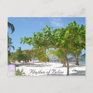 Belizes rytm vykort