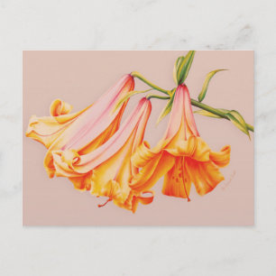 Bell lilies bra art av Sarah Trett vykort