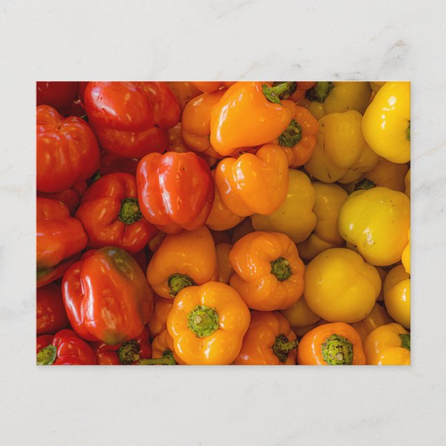 Bell Peppers Fotovykort Vykort (Framsida)