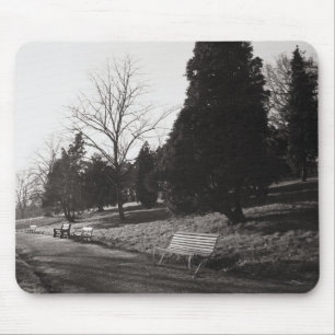 Bell Vue Park, Newport, Mon (Dec 1977) Musmatta