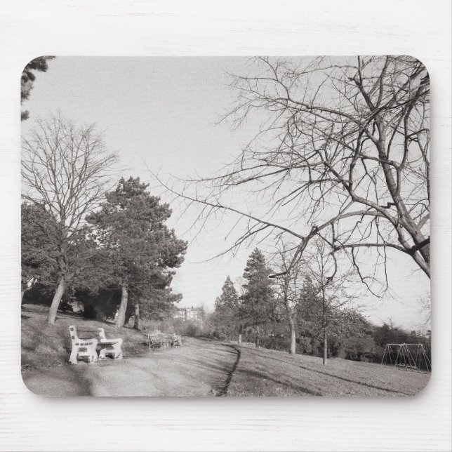 Bell Vue Park, Newport, Mon (Dec 1977) Musmatta (Framsidan)