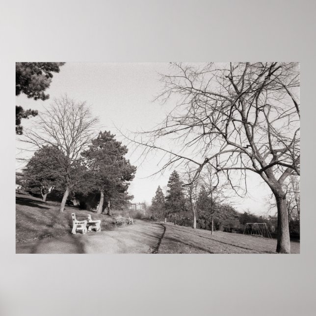 Bell Vue Park, Newport, Mon (Dec 1977) Poster (Framsidan)