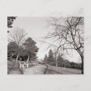 Bell Vue Park, Newport, Mon Vykort