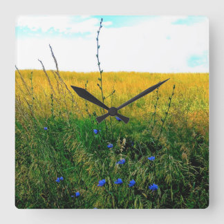 Bella blått - Chicory Fyrkantig Klocka