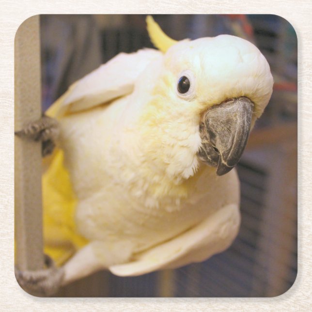 Bella Boy Underlägg Papper Kvadrat (Framsidan)