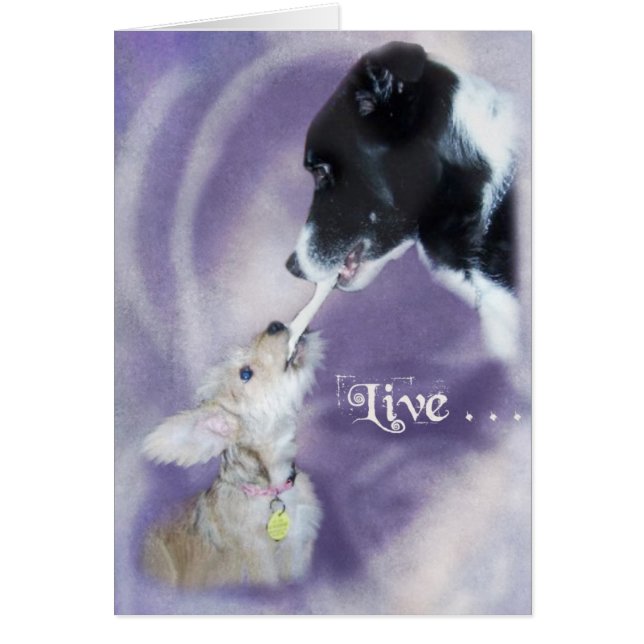 Bella&Buddy Hälsningskort (Framsidan)