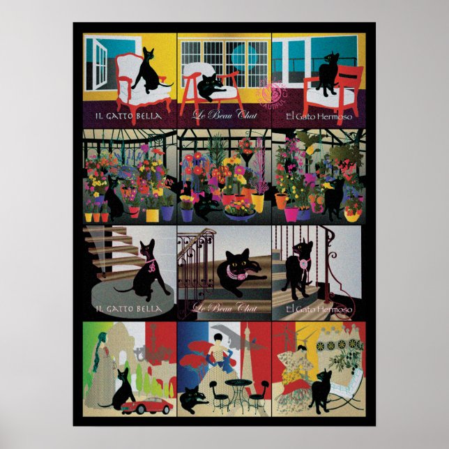 Bella: Den vackra katten 18" x 24" Poster (Framsidan)