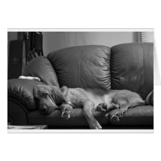 Bella Hälsningskort