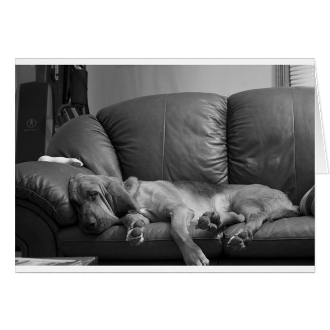 Bella Hälsningskort (Framsidan Horizontal)