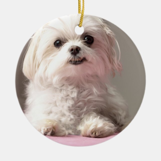 Bella l5At oss gå ser den maltesiska prydnaden Julgransprydnad Keramik (Framsidan)